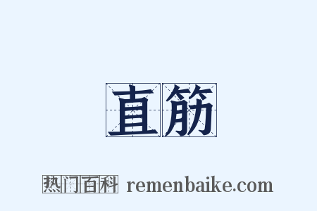 直筋是什么意思的图片